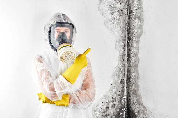 Best Mold removal after water damage  in Oakwood, GA